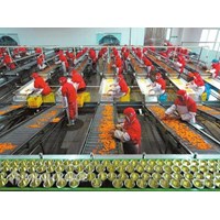 Khái niệm nông sản chế biến, hàng nông sản theo Hiệp định nông nghiệp của WTO