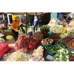 Khung pháp luật hợp đồng mua bán hàng hóa nông sản ở Việt Nam và tại một số nước trên thế giới