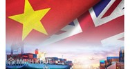 Sự khác biệt chính giữa các liên minh thuế quan và các khu vực thương mại tự do về các vấn đề quy tắc xuất xứ