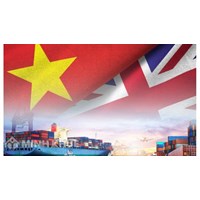 Sự khác biệt chính giữa các liên minh thuế quan và các khu vực thương mại tự do về các vấn đề quy tắc xuất xứ