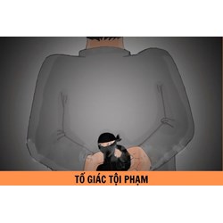Thời điểm thông báo việc tiếp nhận tố giác, tin báo về tội phạm, kiến nghị khởi tố cho Viện kiểm sát
