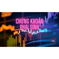 Đình chỉ hoạt động kinh doanh chứng khoán phái sinh khi nào?