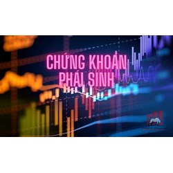 Đình chỉ hoạt động kinh doanh chứng khoán phái sinh khi nào?