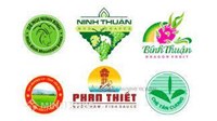 Chỉ dẫn địa lý đồng âm là gì? Bảo hộ chỉ dẫn địa lý đồng âm