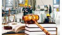 Điều khoản Khu vực Kinh tế châu Âu (EEA) với biện pháp chống tình trạng luồng hàng nhập khẩu gia tăng và thực trạng pháp luật về biện pháp tự vệ Việt Nam 