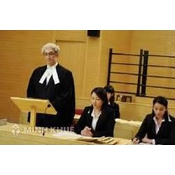 Chấm dứt việc bảo vệ khi nào trong tố tụng hình sự