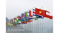 Quan hệ kinh tế quốc tế là gì ? Khái niệm nền kinh tế thế giới