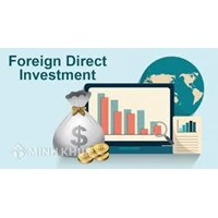 Đầu tư quốc tế là gì? Nguyên nhân, ảnh hưởng của đầu tư quốc tế