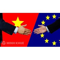 Phân tích chính sách và xu hướng hoạt động đầu tư quốc tế 