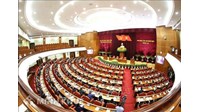 Phân tích các hình thức thể chế nhà nước và các tổ chức chính trị - xã hội