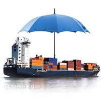 Quy định về bảo hiểm tiền cước, tiền phạt và bảo vệ đối với tàu biển ?