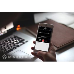 Hiệp ước WIPO về bản quyền (WCT) và Hiệp ước WIPO về Trình diễn và Ghi âm (WPPT)