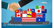 Hội nhập kinh tế quốc tế là gì? Tác động hội nhập kinh tế quốc tế