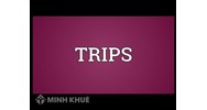 Giới thiệu sự hình thành Hiệp định TRIPS trong WTO và những vấn đề liên quan 
