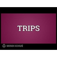 Giới thiệu sự hình thành Hiệp định TRIPS trong WTO và những vấn đề liên quan 