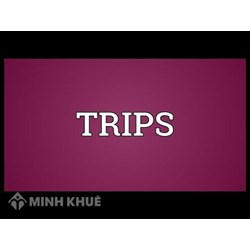 Giới thiệu sự hình thành Hiệp định TRIPS trong WTO và những vấn đề liên quan 
