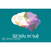 Tòa án Châu Âu với Quyền sở hữu Trí tuệ và những vấn đề liên quan 