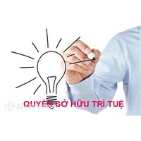 Bảo hộ quyền sở hữu trí tuệ và Cộng đồng Châu Âu