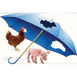 Bảo hiểm nông nghiệp là gì? Trách nhiệm của các bên trong giao kết thực hiện hợp đồng bảo hiểm nông nghiệp