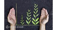 Trách nhiệm xã hội của doanh nghiệp là gì? Trách nhiệm xã hội của doanh nghiệp theo quy định tại Luật Doanh nghiệp Việt Nam