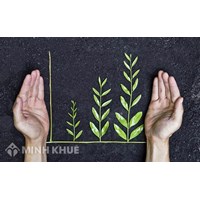 Trách nhiệm xã hội của doanh nghiệp là gì? Trách nhiệm xã hội của doanh nghiệp theo quy định tại Luật Doanh nghiệp Việt Nam