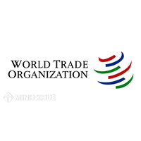 Phân tích các nguyên tắc nền tảng của Tổ chức Thương mại Thế giới (WTO)