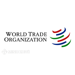 Phân tích các nguyên tắc nền tảng của Tổ chức Thương mại Thế giới (WTO)