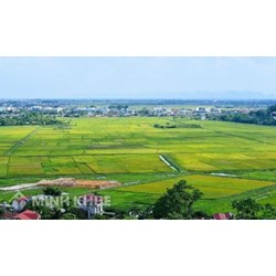 Người Việt Nam định cư ở nước ngoài, người nước ngoài có quyền mua đất ở tại Việt Nam không?