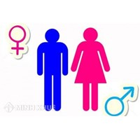 Một số vấn đề về bình đẳng giới, biện pháp bảo đảm bình đẳng giới hiện nay, thực trạng và nội dung quy định của pháp luật 