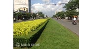 Dịch vụ chuẩn công ích là gì? Đặc điểm và quản lý dịch vụ chuẩn công ích
