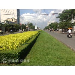 Dịch vụ chuẩn công ích là gì? Đặc điểm và quản lý dịch vụ chuẩn công ích