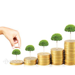 Tìm hiểu đề xuất án lệ về công nhận hiệu lực của hợp đồng vi phạm điều kiện về hình thức?
