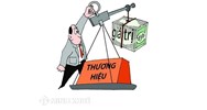 Các trường hợp không được tham gia định giá tài sản trong tố tụng hình sự