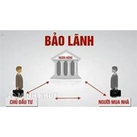 Quy định về bảo lãnh, hậu quả của việc bảo lãnh
