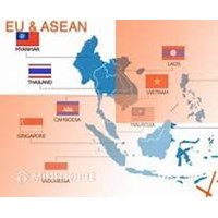 Quy chế pháp lý các tổ chức quốc tế liên chính phủ trong tố tụng dân sự quốc tế