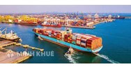 Giải quyết tranh chấp về áp dụng biện pháp quản lý ngoại thương