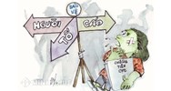 Người tố giác tội phạm có quyền khiếu nại quyết định không khởi tố vụ án hình sự không?