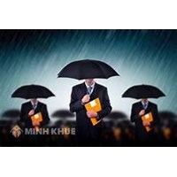 Quy định về chánh án, thẩm phán của tòa án thương mại