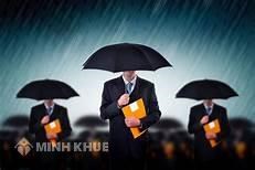 Quy định về chánh án, thẩm phán của tòa án thương mại