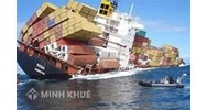 Mẫu hợp đồng vận chuyển hàng hóa bằng đường biển