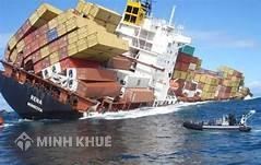 Mẫu hợp đồng vận chuyển hàng hóa bằng đường biển
