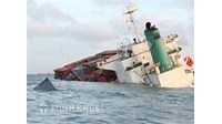 Quy định về giám định tổn thất hàng hóa.