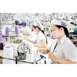 Quỹ Phát triển doanh nghiệp nhỏ và vừa là gì? Chính sách vay vốn