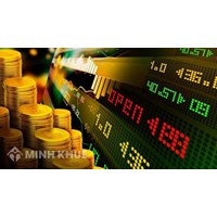 Pháp luật một số nước về địa vị pháp lý của Nhà đầu tư nước ngoài trong lĩnh vực chứng khoán