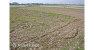 Người thôi quốc tịch Việt Nam có được quyền giao dịch đất ở Việt Nam không?