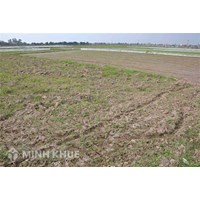 Người thôi quốc tịch Việt Nam có được quyền giao dịch đất ở Việt Nam không?