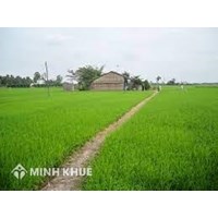 Thủ tục khiếu nại khi đền bù đất không thỏa đáng