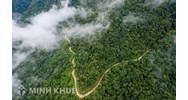 Cá nhân, hộ gia đình khai thác rừng đặc dụng trái phép bị xử phạt như thế nào?