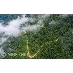 Cá nhân, hộ gia đình khai thác rừng đặc dụng trái phép bị xử phạt như thế nào?