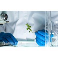Doanh nghiệp khoa học công nghệ là gì? Hồ sơ, thủ tục chứng nhận doanh nghiệp khoa học và công nghệ